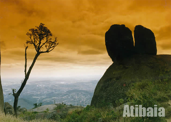 Case study voorbeeld picture